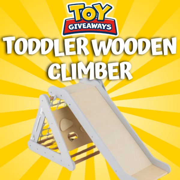Toddler Wooden Climber